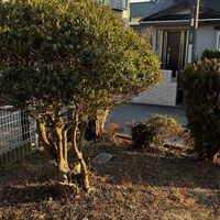 画像3372：市原市　Y様邸　エクステリアリフォーム工事