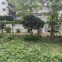 画像3455：千葉市　F様邸　ガーデンリフォーム工事